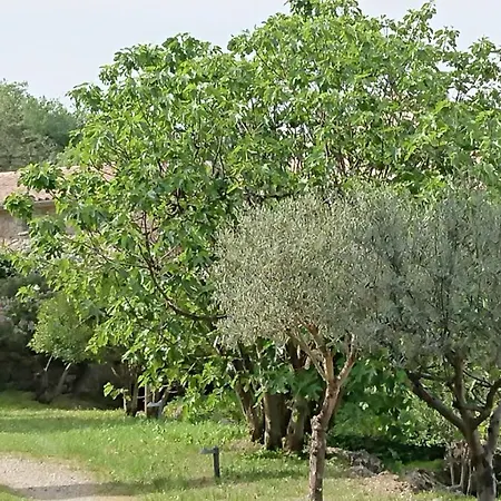 Gite En Cevennes Du Sud, Bergerie Restauree Au Rez De Jardin D'Une Bastide Avec Piscine, Vue Exceptionnelle, Authenticite Et Confort Saint-Laurent-le-Minier Exterior foto
